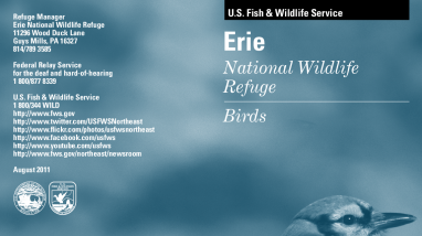 ErieBirdBrochure.pdf
