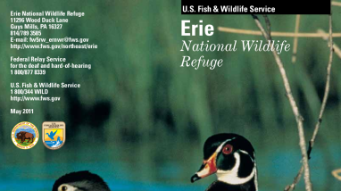 ENWR General Brochure