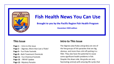 Fish Health News You Can Use (December 2020 Edition)