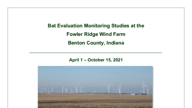 Fowler Ridge Wind Farm PCM Report 2021