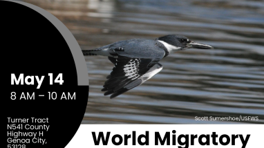 Hackmatack World Migratory Bird Day Flyer 22