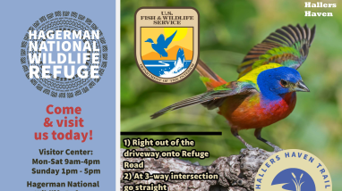 Hallers Haven Trail Map Final.pdf