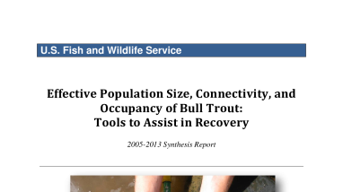 Effective Population Size, Connectivity, and Occupancy of Bull Trout: Tools to Assist in Recovery 2005-2013 Synthesis Report