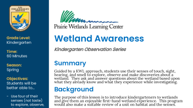 Kindergarten Spring Wetland Awareness
