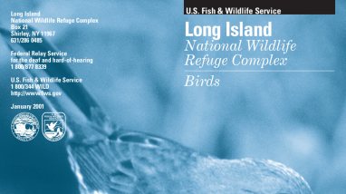 LINWRC_Bird_Brochure.pdf