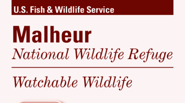 Malheur NWR Watchable Wildlife