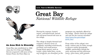 NEW Great Bay NWR fact sheet.pdf