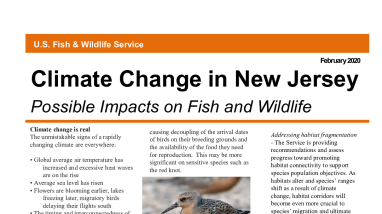 Climate Change in New Jersey: Possible Impacts on Fish and Wildlife