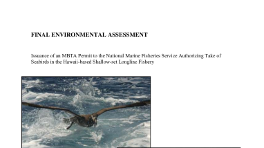 NMFS Incidental Seabird Take for National Marine Fisheries Service (NMFS) Hawaii-based Longline Fishery
