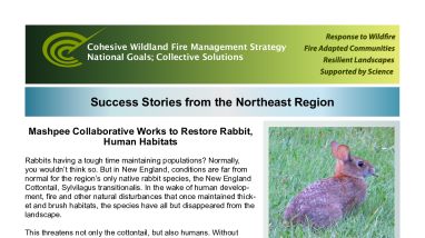 Mashpee Collaborative Works to Restore Rabbit, Human Habitats