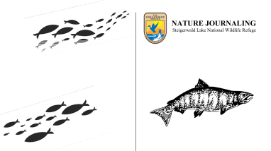 Nature Journaling - SLNWR.pdf
