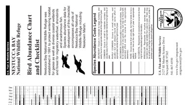 Nestucca Birding Checklist.pdf