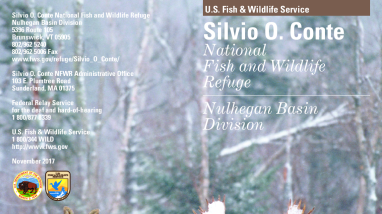 Nulhegan Basin General Brochure