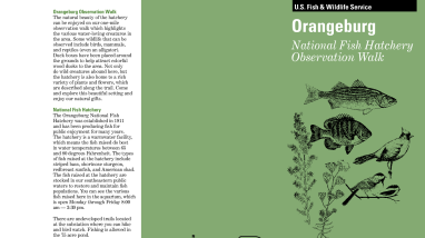 ONFHObservationwalk.pdf