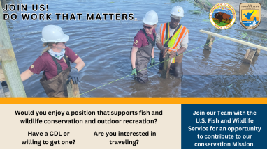 Patuxent Maintenance Job Flyers