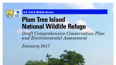 Plum Tree Island Draft Comprehensive Conservation Plan.pdf
