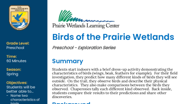 Preschool Spring Birds of the Prairie Wetlands