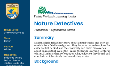 Preschool Winter Nature Detectives