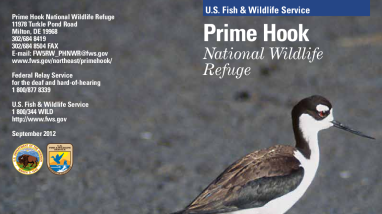 PrimeHookBrochure.pdf