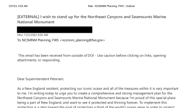 Public Scoping Written Public Comments 