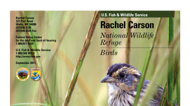 RachelCarsonNWR Birds Brochure.pdf