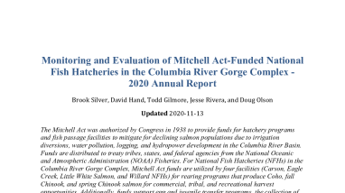 Monitoring and Evaluation of Mitchell Act-Funded National Fish Hatcheries in the Columbia River Gorge Complex - 2020 Annual Report