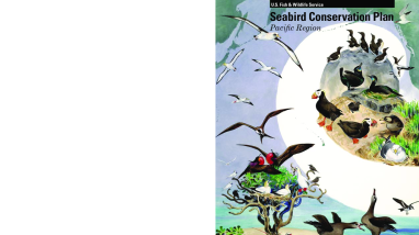 Seabird Conservation Plan - Pacific Region