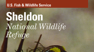 Brochure Sheldon NWR