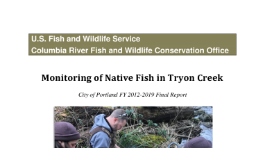 Monitoring of Native Fish in Tryon Creek City of Portland FY 2012-2019 Final Report