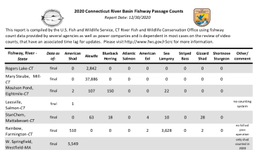 2020 Summary Counts Report 2020