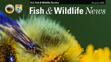 Summer 2023 Fish & Wildlife News