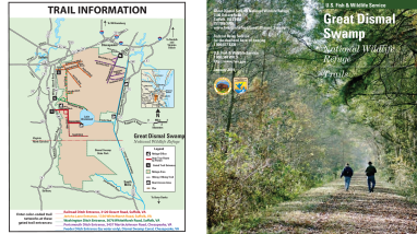 Trail Guide - Great Dismal Swamp- 2019 USFWS.pdf