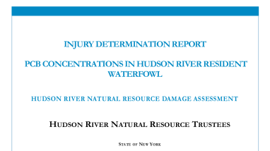 Hudson River Waterfowl Injury Determination Report 2013.pdf