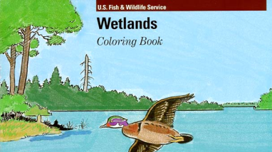 Wetlands_CB_comp.pdf