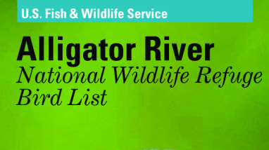 Alligator River National Wildlife Refuge Bird List