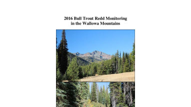 bulltroutfinalreport2016.pdf
