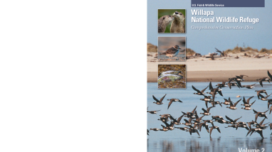 CCP V2 Willapa NWR