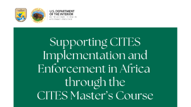 CITES Master's Course 2022-2023 Abstract Booklet