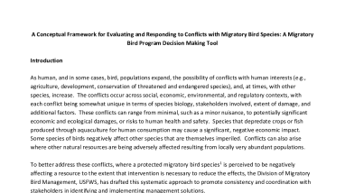 A Conceptual Framework for Evaluating and Responding to Conflicts with Migratory Bird Species