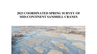 Coordinated Spring Survey Of Mid-Continent Sandhill Cranes 2023
