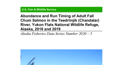 Abundance and Run Timing of Adult Fall Chum Salmon in the Teedriinjik (Chandalar) River, Yukon Flats National Wildlife Refuge, Alaska, 2018 and 2019 2020–5.pdf