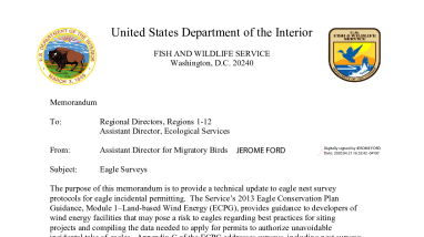 Memo Regarding Eagle Nest Survey Guidance 