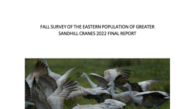 Eastern Population of Greater Sandhill Crane Fall 2022 Survey