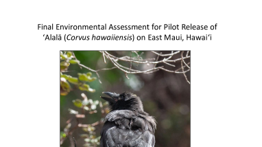 Final Environmental Assessment for Pilot Release of ʻAlalā (Corvus hawaiiensis) on East Maui, Hawai‘i.pdf