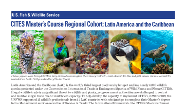 CITES Master's Course: 2018-2019 Regional Cohort Bios (Latin America and the Caribbean)