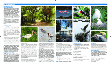Cedar Keys NWR Tear Sheet - Back