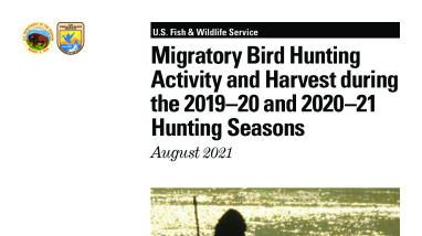 Migratory Bird Hunting Activity and Harvest during the 2019–20 and 2020–21 Hunting Seasons