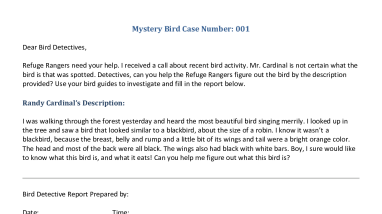 Mystery Bird Detective Cases (pdf)