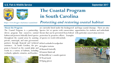 South Carolina Coastal Program Fact Sheet