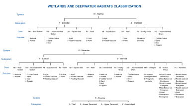 National Wetland Inventory Wetlands and Deepwater Map Code Diagram